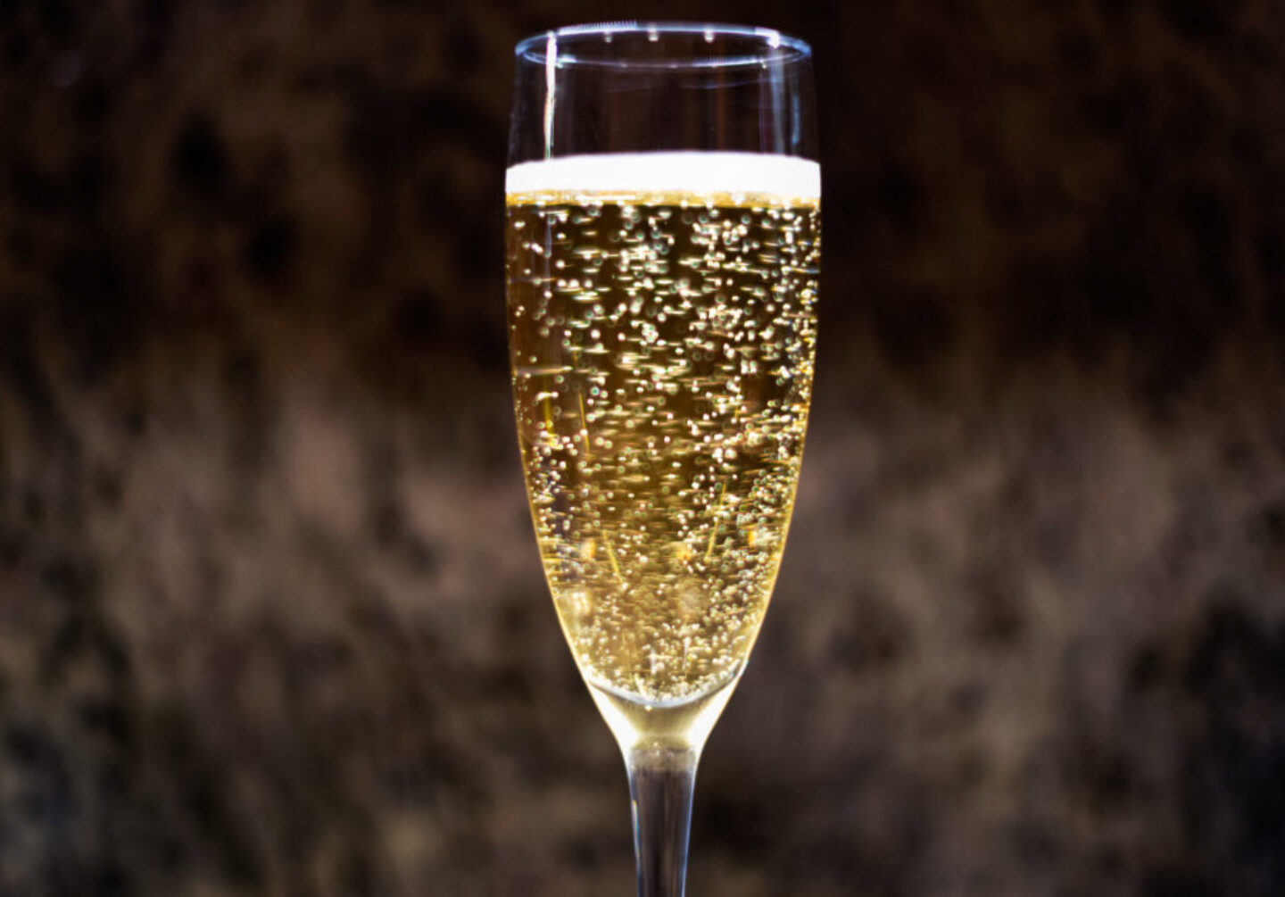 Lucille_Galleli-General_2020_1