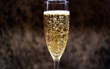 Lucille_Galleli-General_2020_1