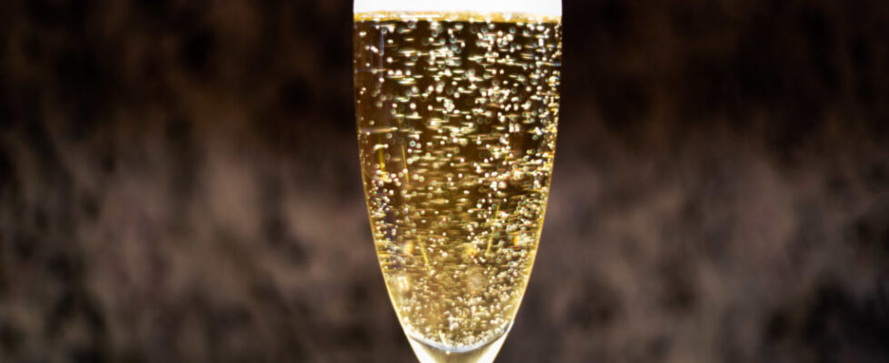 Lucille_Galleli-General_2020_1