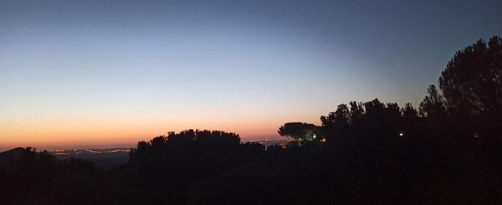 photo_2020-08-01 22.51.59