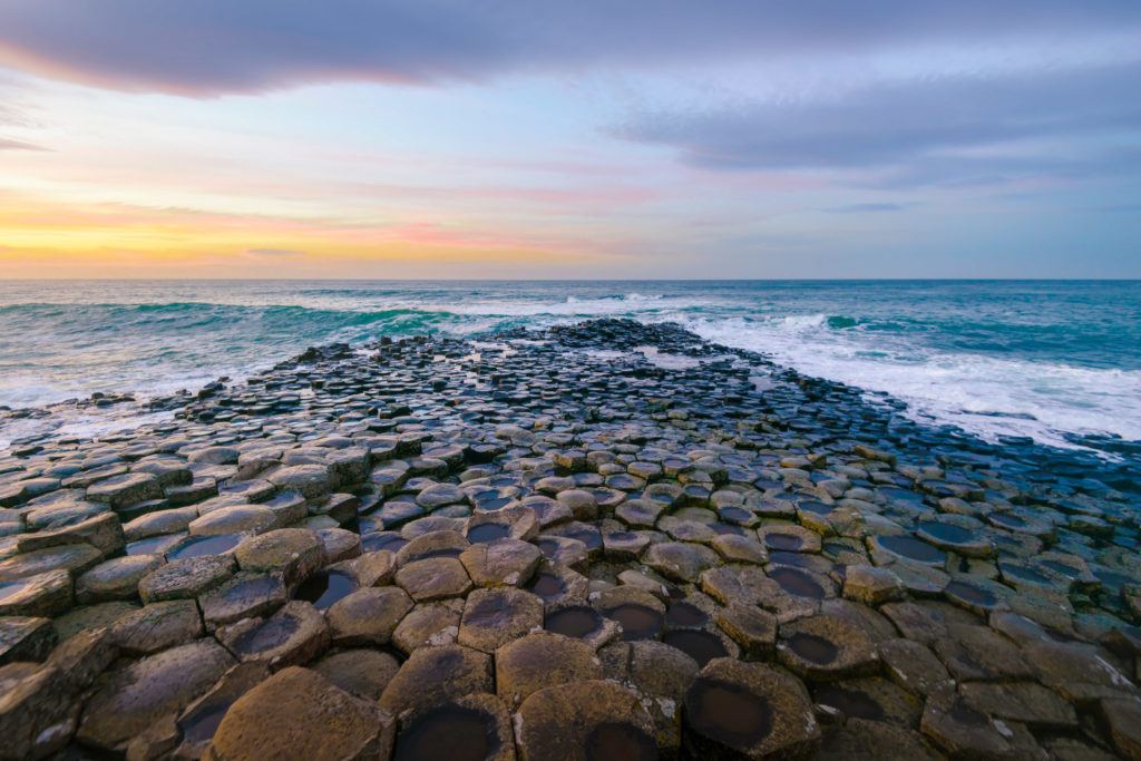 Lucille_Galleli-113ND800_2018_-2