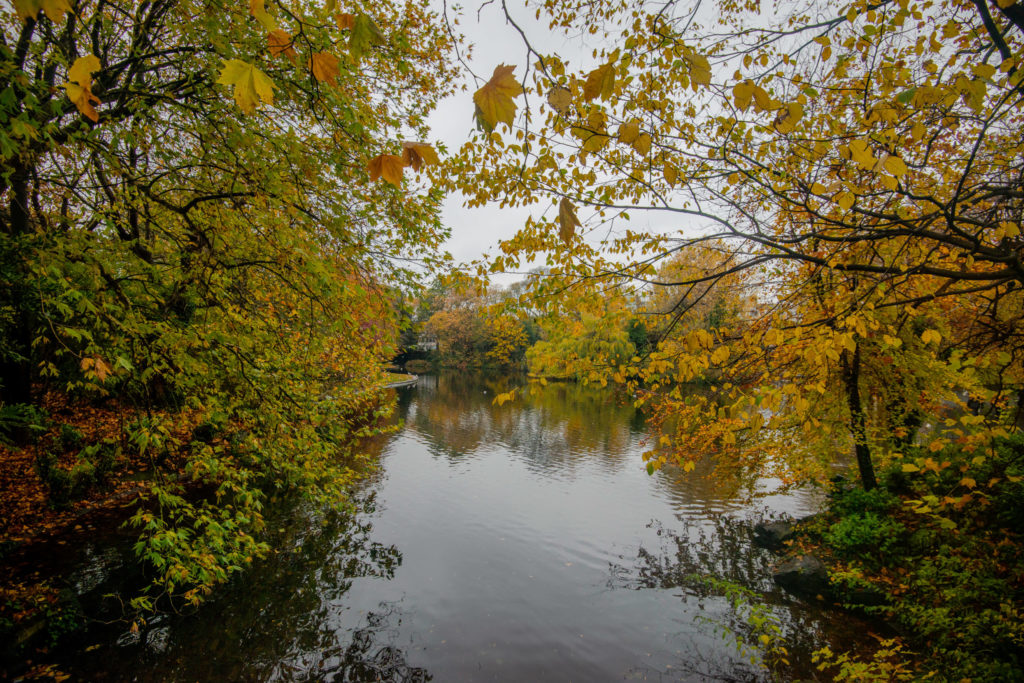 Lucille_Galleli-114ND800_2018_-3