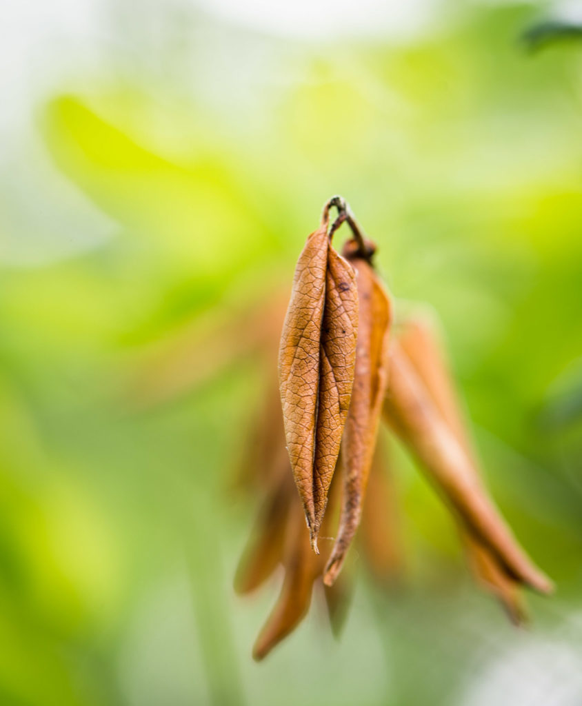 hang in there by lucille